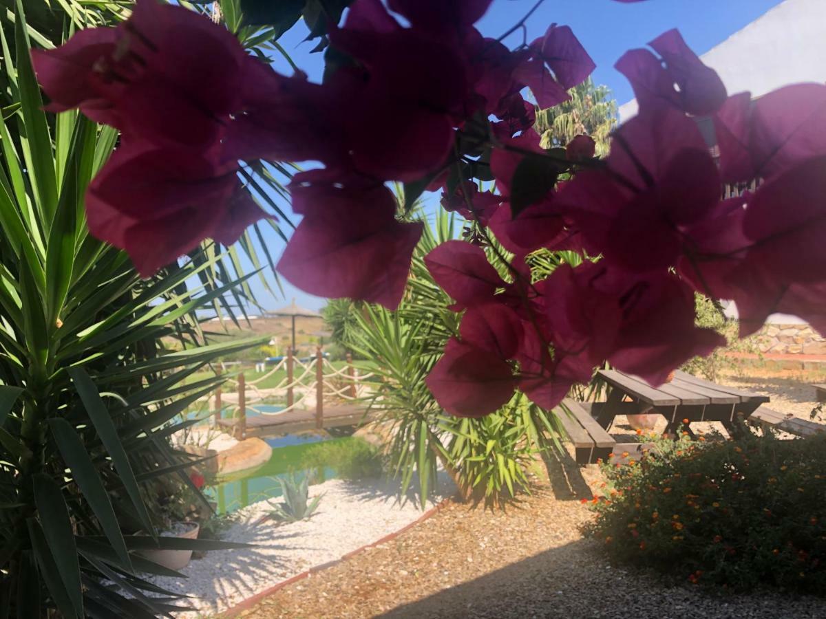 Finca Andalucia コニル・デ・ラ・フロンテラ エクステリア 写真