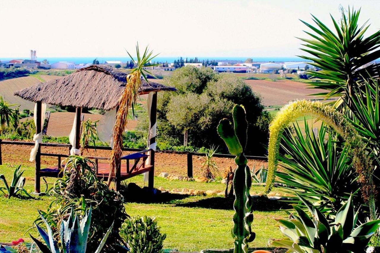 Finca Andalucia コニル・デ・ラ・フロンテラ エクステリア 写真